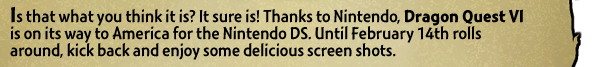 Is that what you think it is? It sure is! Thanks to Nintendo, Dragon Quest VI is on its way to America for the Nintendo DS. Until February 14th rolls around, kick back and enjoy some delicious screen shots.