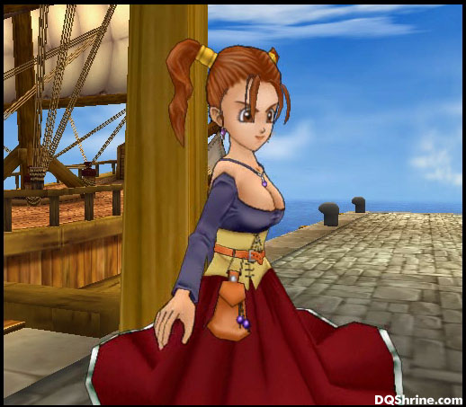 dq8-40.jpg